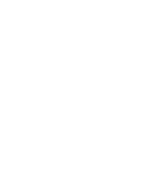 Identity - Logo